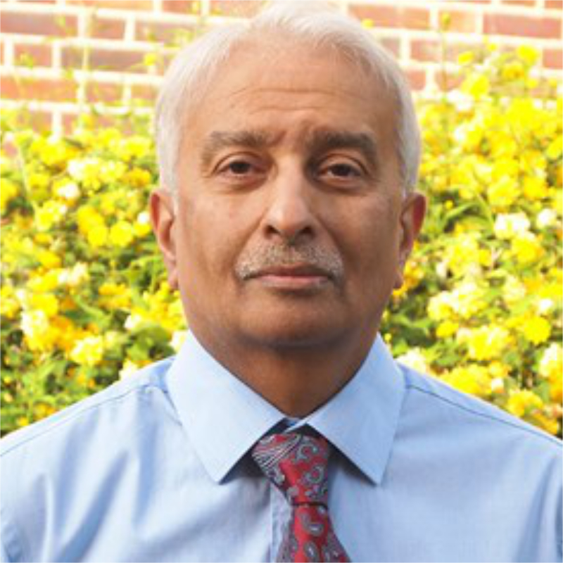 Professor V. Krishna Chatterjee